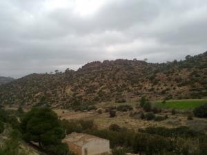 Les montagnes de Sétif