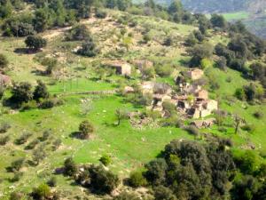 La région de  Ith Sidi Ali (Wilaya de Setif)