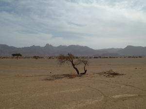 منظر طبيعي بضواحي مدينة تمنراست