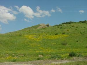 Verdure du prontemps à Bnat Ethmane (Wilaya de Setif)