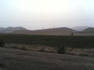 Champ labouré  Salah bey (Wilaya de Sétif)