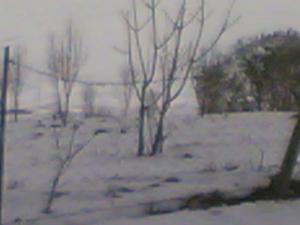 Averse de neige à Salah Bey