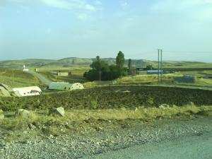 Champs Agricoles dans al région de Ghlalba  (Wilaya de Setif)
