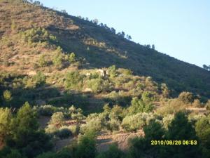 Vue sur la région de Chelhab Amechtouh