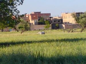 Les champs environnants le village de Tamagoult (Commune de Serdj El Ghoul)