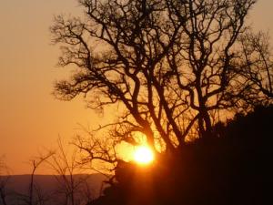 Coucher de Soleil sur la région de Tachouda