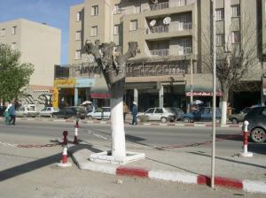 Centre ville de la commune de Ain Arnat