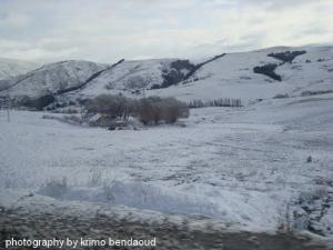 Paysage de Theniet Ettine