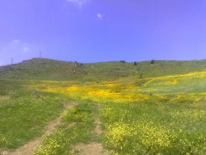 Paysage de Tegma (Commune de Beni Aziz)