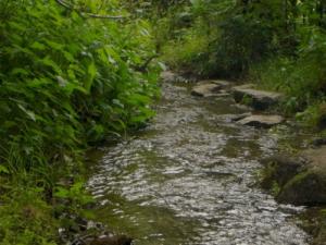 Un cours d'eau dans la périphérie de Ain Abessa
