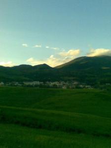 Verdure à Beni Aziz