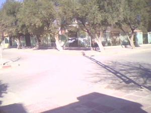 Jardin Public de la commune de Salah Bey