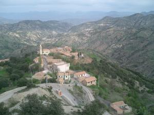 Tiguert Ndrar  au Printemps