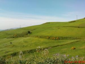 Les vertes prairies entourant Sétif