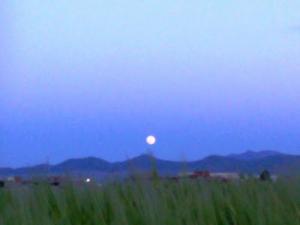 LA LUNE SE LÈVE SUR SALAH BEY