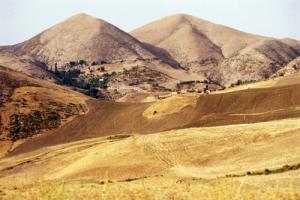 Champs agricoles aux alentours de Setif