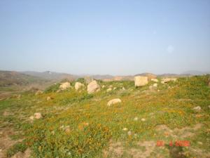 آثار رومانية عند شمال المدينة 1