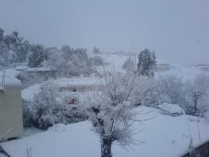 براقة تحت الثلج 1