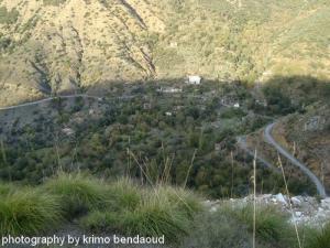 Paysage de Oued El Bared Dware ait bouhada