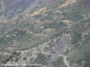 La Forêt de Oued El Bared  (Wilaya de Sétif)