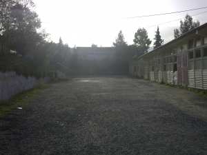 ثانوية بلدية فريحة