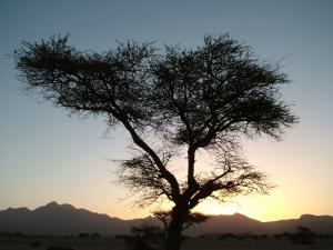 غروب الشمس 1