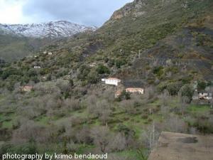 Forêt de Oued El bared