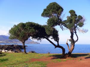 Ile de la localité de Mansouria  Dzira