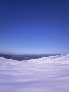 La neige aux alentours de Jijel
