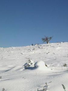 Neige sur la commune de Bouraoui Belhadef