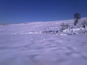 Neige sur la commune de Bouraoui Belhadef