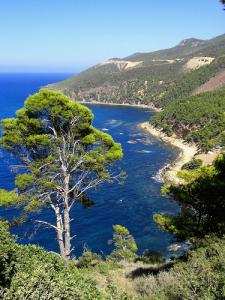 منظر من شاطئ بني حواء