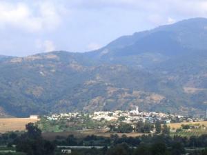 Les forêts qui recouvrent les Montagnes Jijeliennes