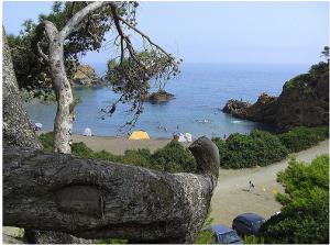 منظر من ساحل قوراية 1