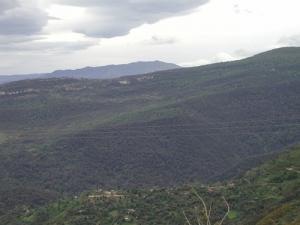 Les Vertes Forêts Jijeliennes