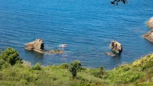 Côte de Jijel le Rocher du Lion et de l'éléphant