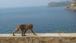 Sur la Route vers Ziama (Jijel)