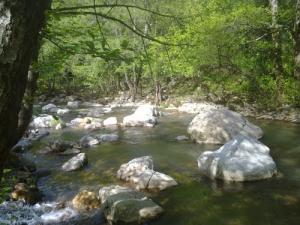 Une rivière aux alentours de Jijel