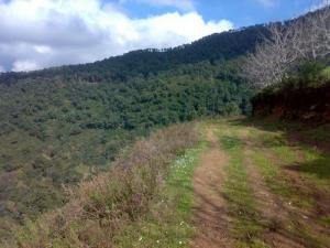 Djbel Jimli (Commune de Bouraoui Belhadef)