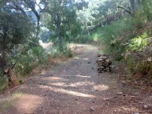 Route menant à la forêt de Bouraoui Belhadef