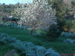 Printemps sur la commune de Bouraoui Belhadef