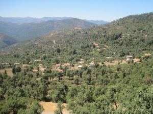 Un petit village perdu au milieu de la verdure (Wilaya de Jijel)
