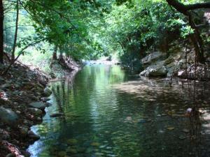 Oued Dar El Oued (Commune de Ziama Mansouria / Wilaya de Jijel)