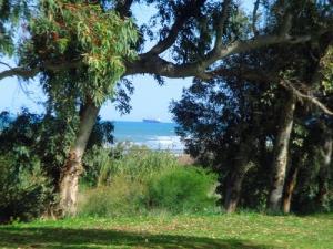 Verdure aux alentours de Jijel
