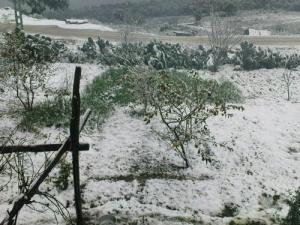 Neige sur la commune de Bouraoui Belhadef