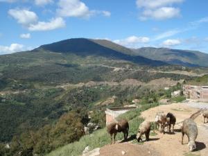 Texenna Route de Ben Yajisse et Beni Foughale