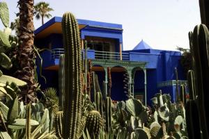 A view of the Majorelle botanical garden, where the