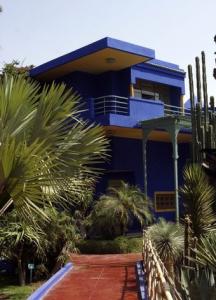 A view of the Majorelle botanical garden, where the