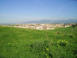 Verdure sur la périphérie de Jijel