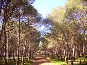 منظر طبيعي بجبال  سبع شيوخ